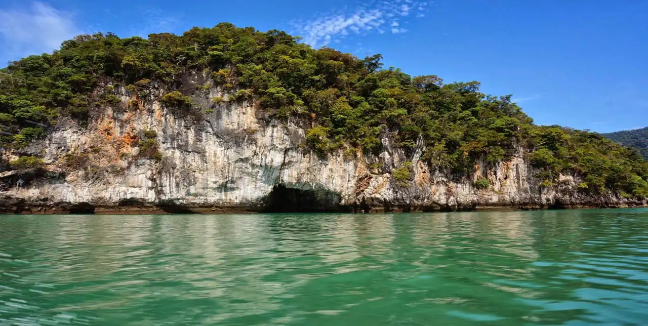 جزيرة العذراء الحامل