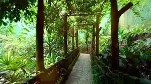 حديقة الفراشات في كوالالمبور (2)